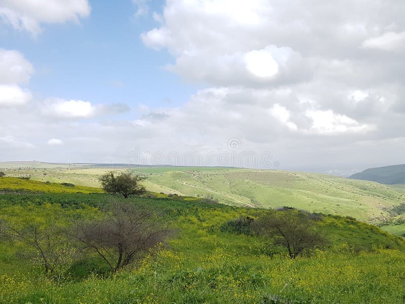 Where to Stay in Ramat Yishay, Israel: A Kibbutz Base for