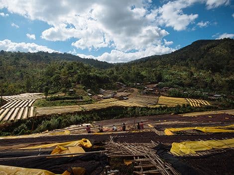 Laclo, East Timor: A Romantic Audit of High-Altitude Silence
