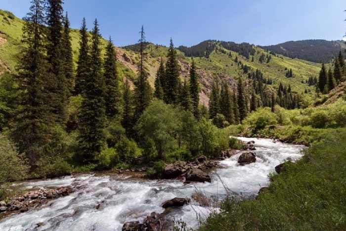 A scenic landscape featuring a rushing white-water river flowing through a lush green valley with pine trees and steep hillsides under a clear blue sky.