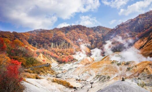 Autumn festivals with food, music, and cultural events