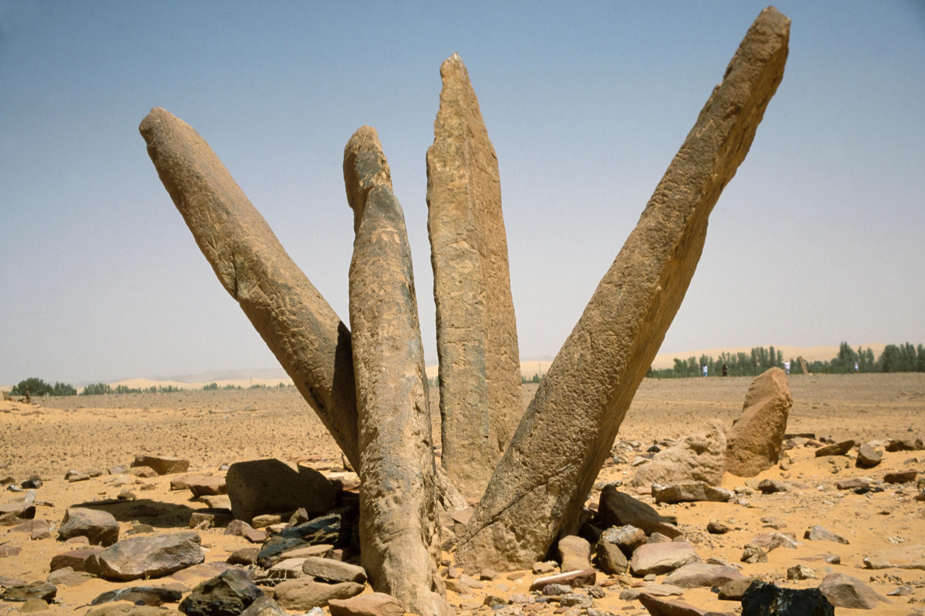 Grid of ancient standing stones at the Rajajil archaeological site in the Saudi desert
