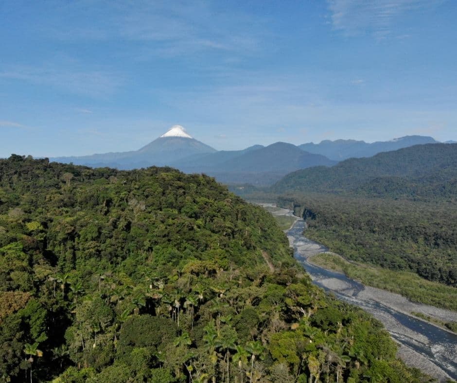 Lush cloud forest landscape along the road to Palora, Morona Santiago, Ecuador