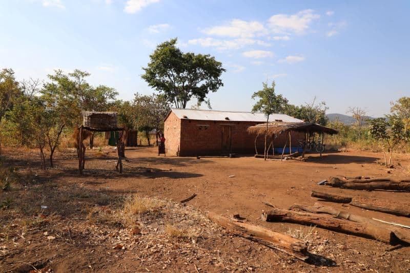 Rural village scene with a brick house, thatched shelters, scattered trees, and dry ground under a partly cloudy sky.