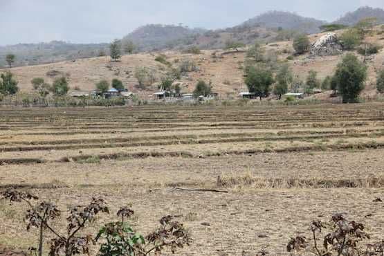 Dry-season highland landscape with terraced fields, scattered trees, small village, and distant hills under a hazy sky.