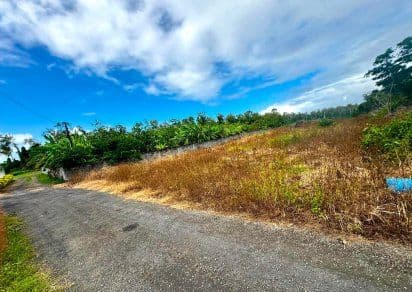 Wide rural road scene on Dubreuil's central plateau with dry grass, low vegetation, and open blue sky with clouds.