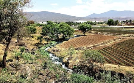 A rural landscape featuring a small stream flowing through dry grass and cultivated fields, with distant mountains and scattered trees under a bright sky.