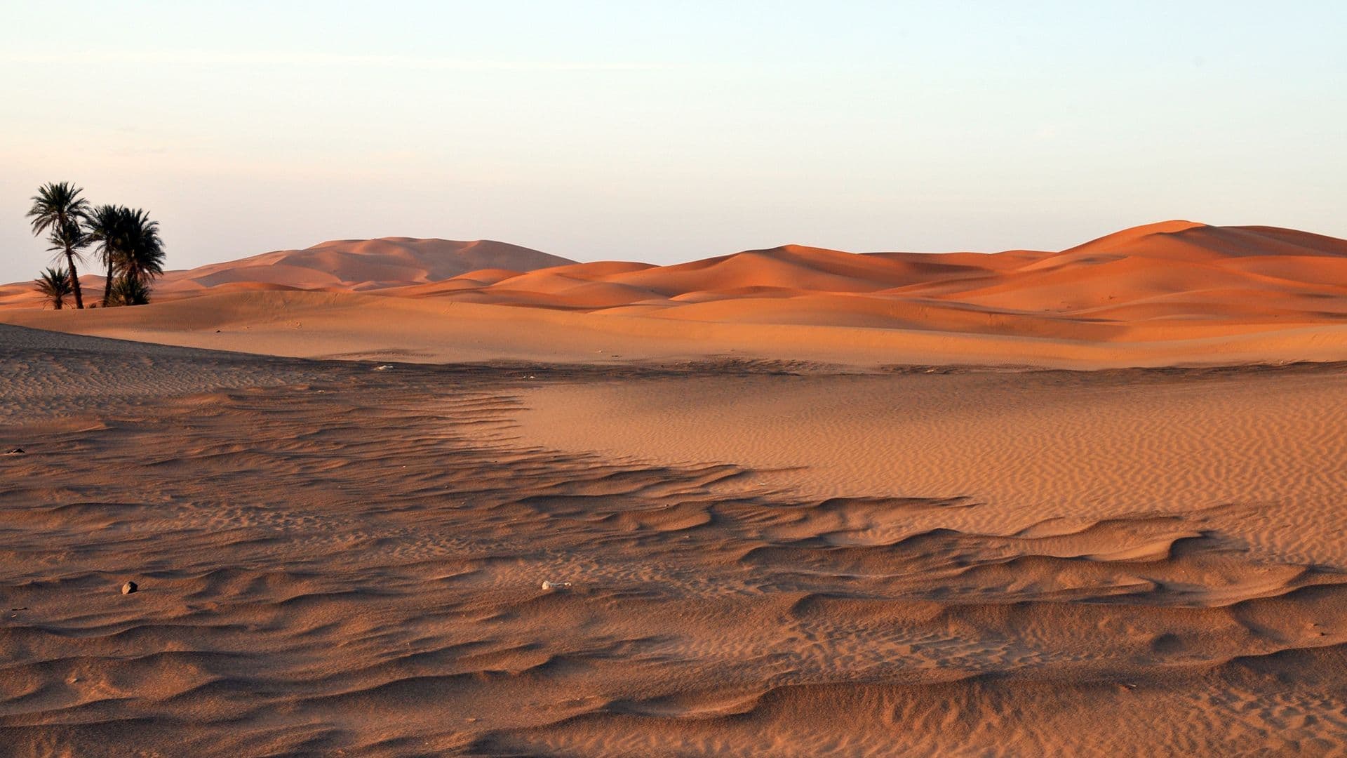 Desert dunes at dusk with warm light, palm trees on the left, and textured sand in the foreground.