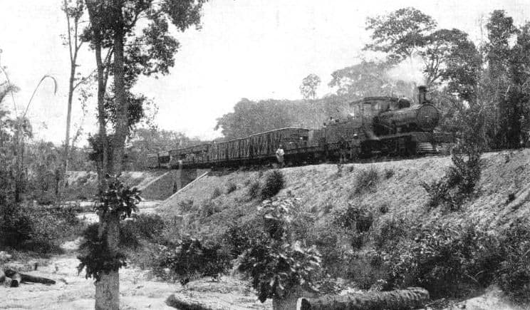 Historic black and white photo of a steam train on a bridge in West Africa, representing the defunct Sierra Leone Railway.