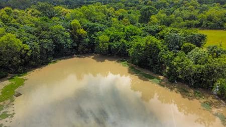Niamtougou, Togo: Savoring the Vibrant Flavors of Asia
