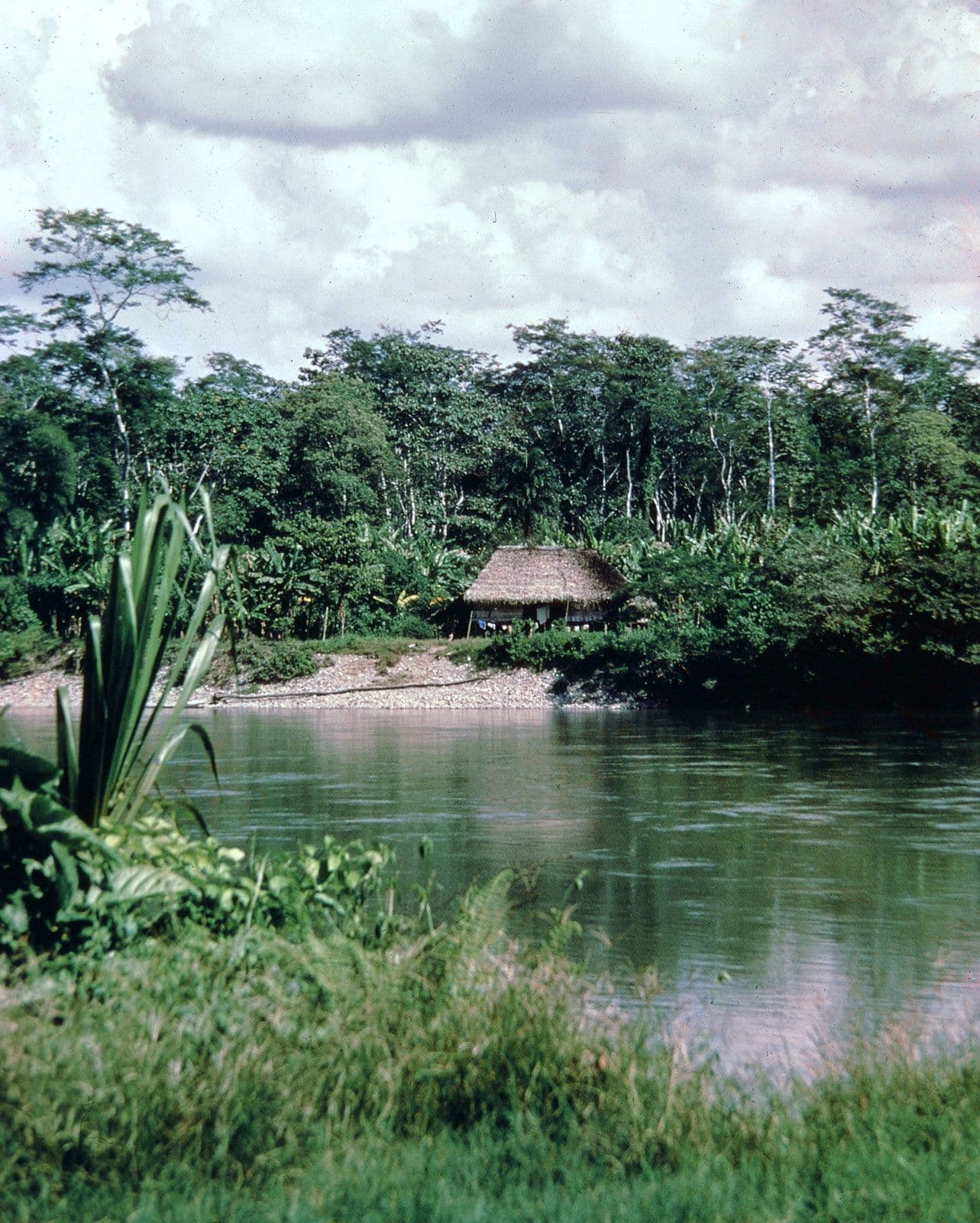 A tranquil river scene in Los Rios Province, Ecuador, featuring a thatched-roof hut nestled among dense tropical vegetation and a cloudy sky.