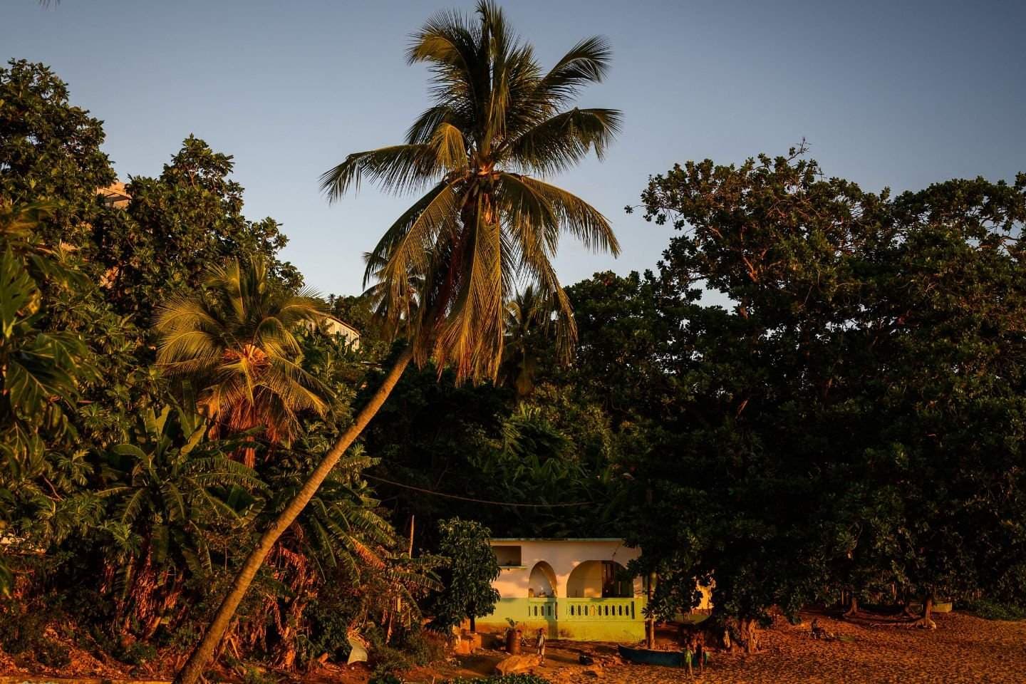 Coconut palms and lush tropical vegetation surround a small white building at golden hour, with a few distant figures near the shore.