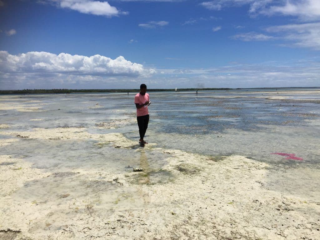 Wide coastal landscape on the southern Tanzanian shore near Mingoyo, with shallow tidal flats under a clear dry-season sky.