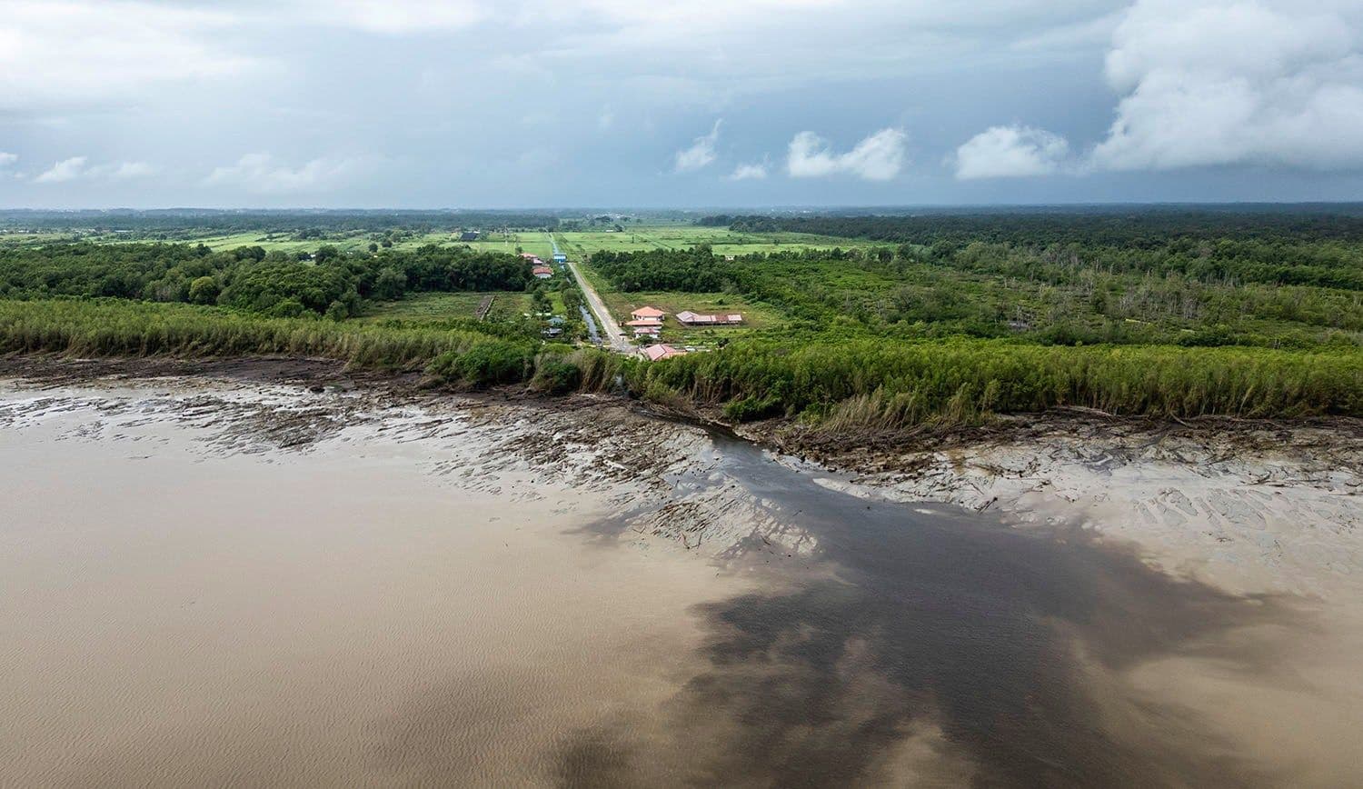 Aerial view of a mangrove wetland with muddy tidal flats, dense green vegetation, and a small settlement under a cloudy sky.