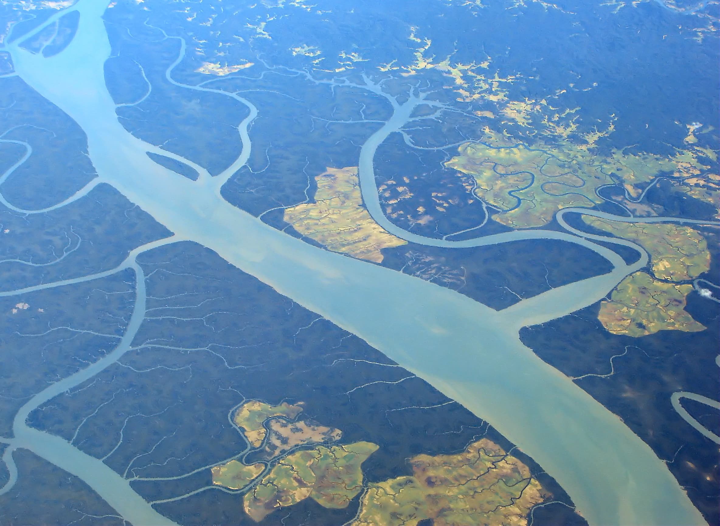 Landscape view of the Irrawaddy River with rice fields and water buffalo in Minbu, Myanmar