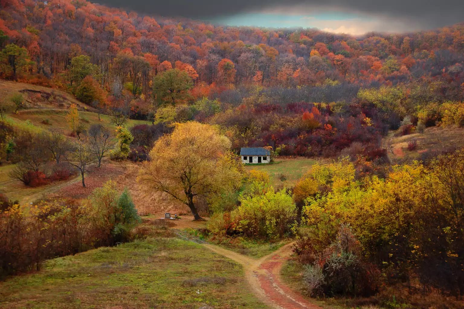 Lush riverbank path beside the Dniester River in Bender, Moldova, during spring