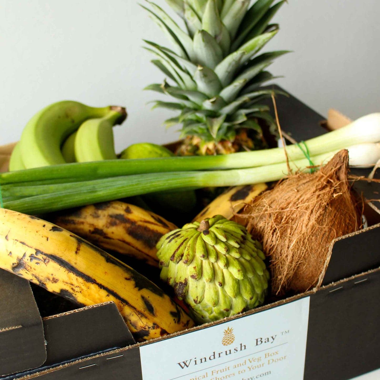 Close-up of fresh tropical fruits like mangoes and pineapples arranged on a surface