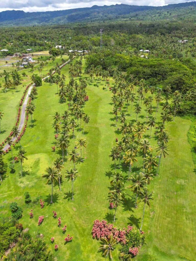 Coastal landscape with palm trees and forested areas near Malololelei Reserve, Fasito‘outa, Samoa, captured from a drone perspective in spring.