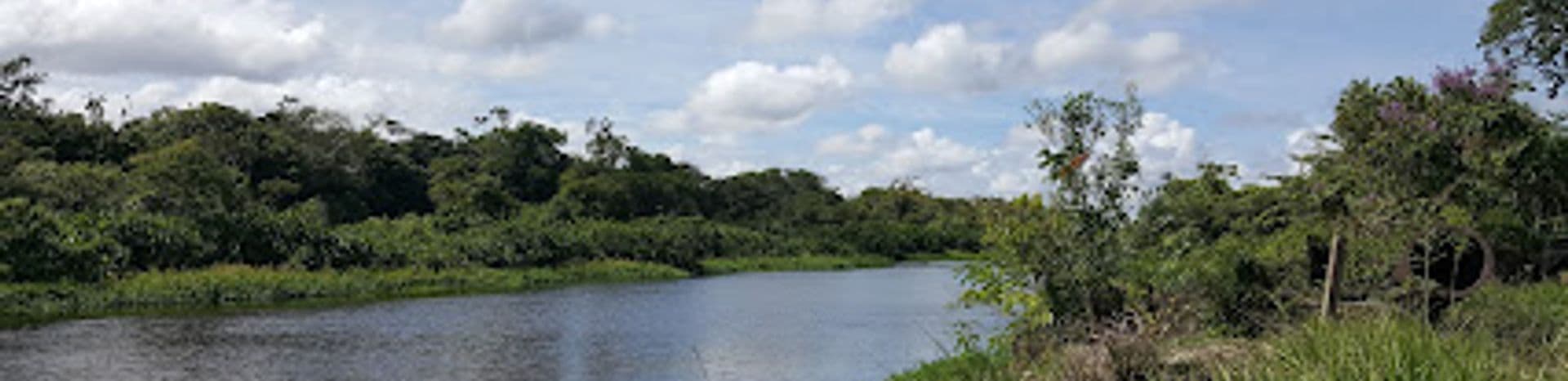 Wide river flanked by dense green riverbank vegetation along the Corentyne River near Skeldon Guyana