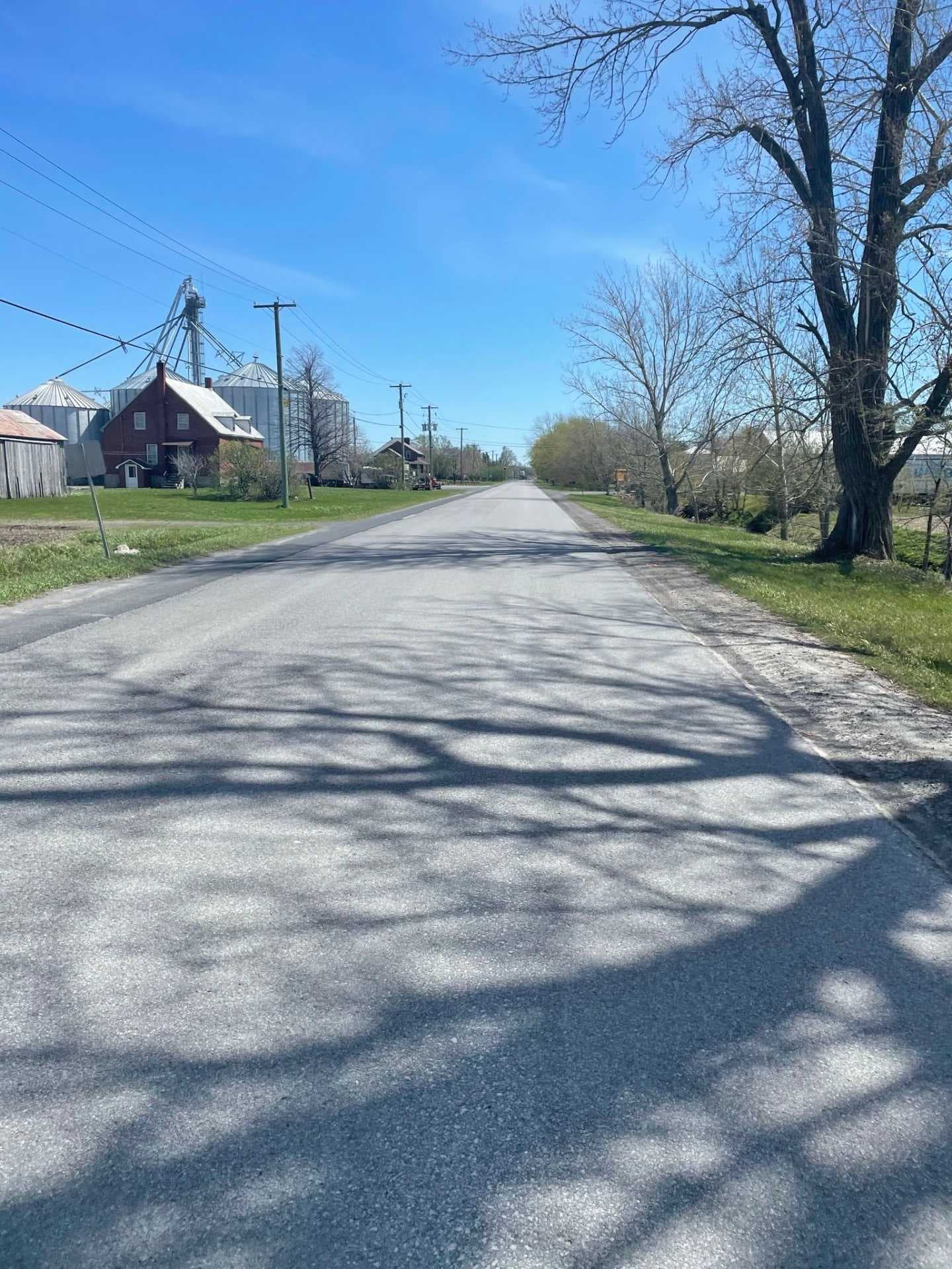 Quiet rural road stretches toward farmhouses and grain silos under a clear blue sky, with bare trees casting long shadows.