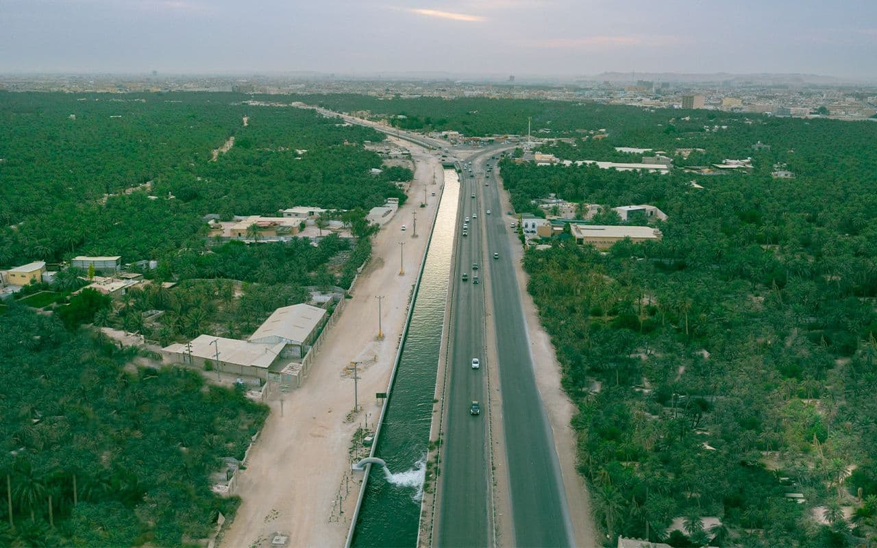 Aerial view of a wide date palm oasis with a highway and irrigation canal cutting through, distant city on horizon.