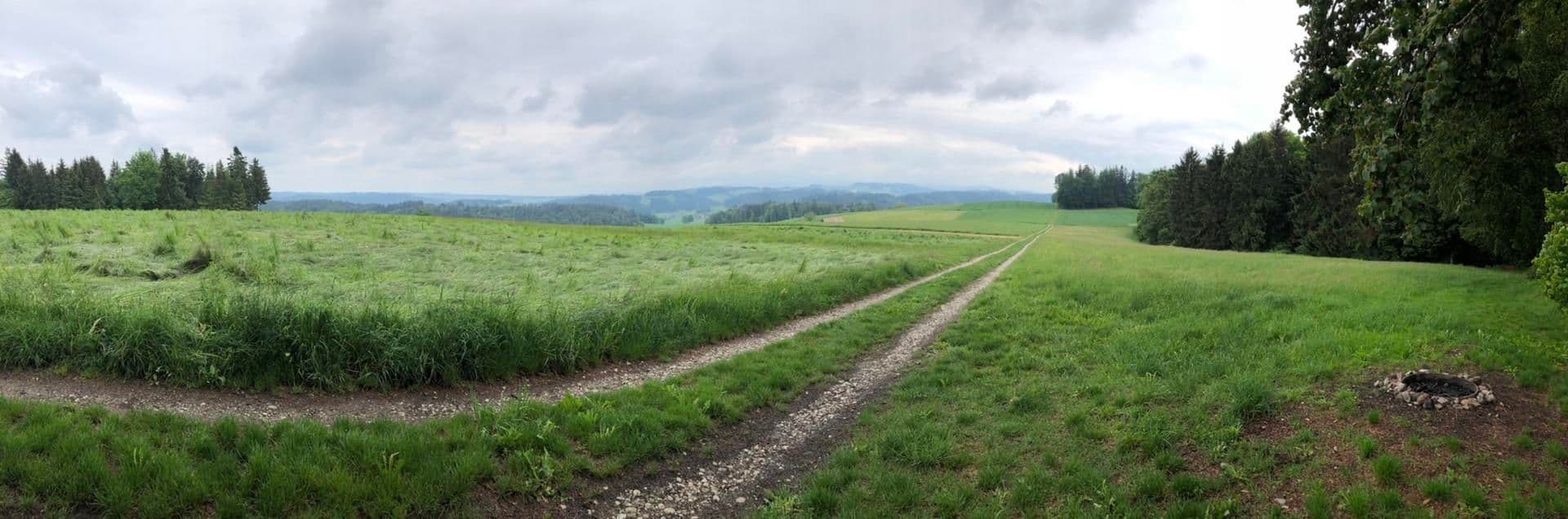 Wide rural landscape with green fields, a gravel path, distant hills, and overcast sky near Wolfwil, Canton Solothurn.