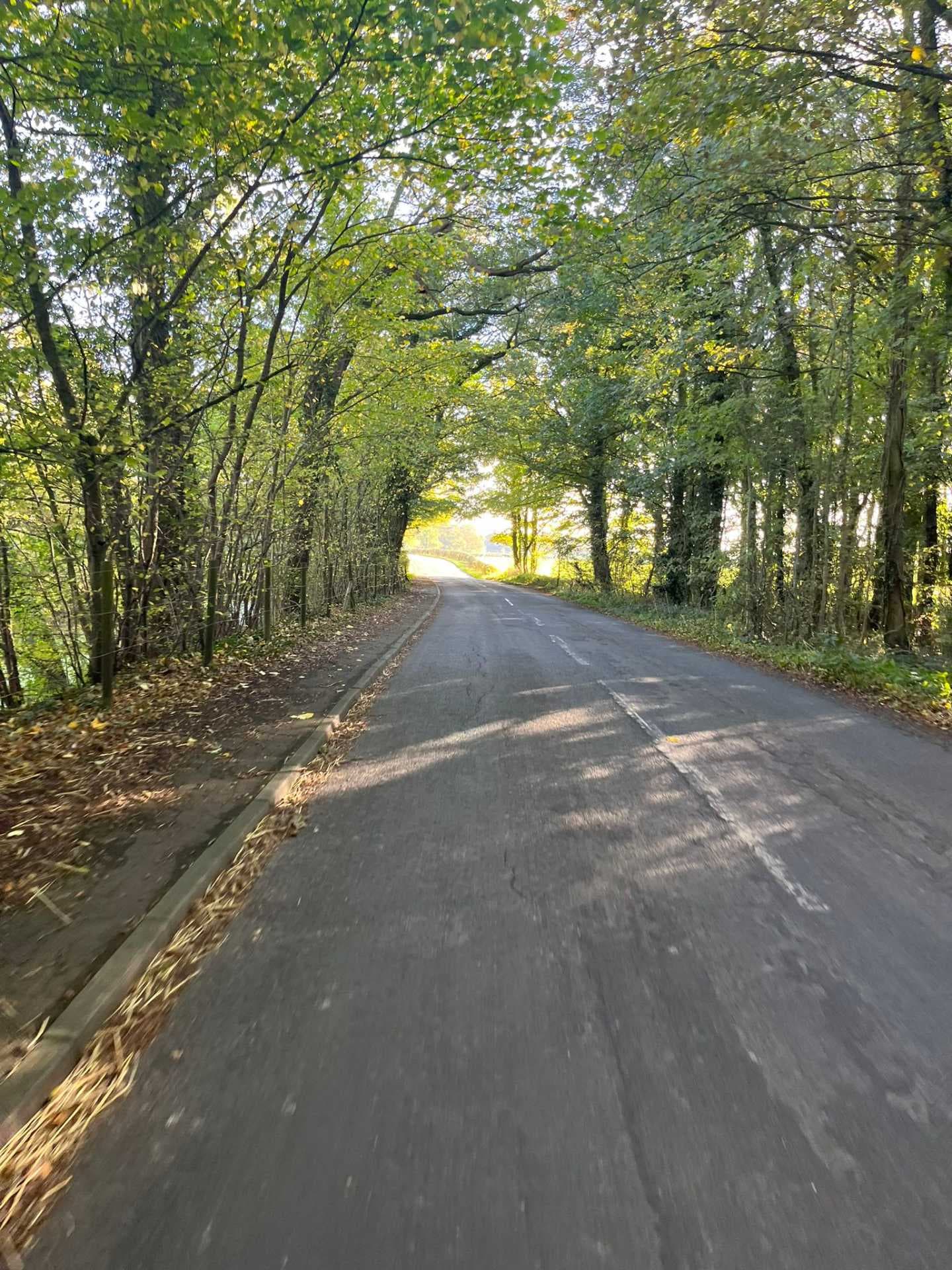 Quiet tree-lined country road with dappled sunlight, fallen leaves, and a soft autumn atmosphere near Euxton, Lancashire.