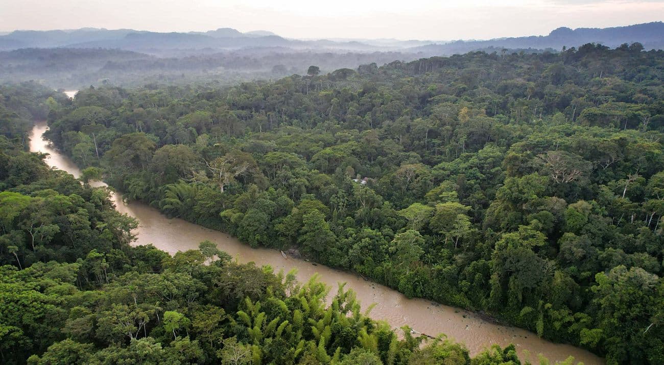 Aerial view of a winding, muddy river cutting through dense, lush green rainforest canopy with misty mountains in the background.