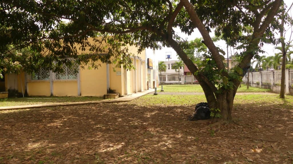A quiet town square in Catarama featuring a yellow building, a large tree casting shadows, and a grassy area with fallen leaves.