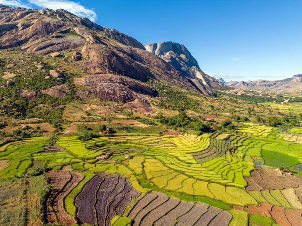 Elevated landscape of the Bassar region showing terraced green and yellow rice paddies at the foot of large rocky hills under a clear blue sky