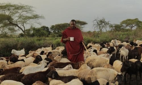 Rural scene with Maasai individuals and traditional huts, depicting community life in Tanzania