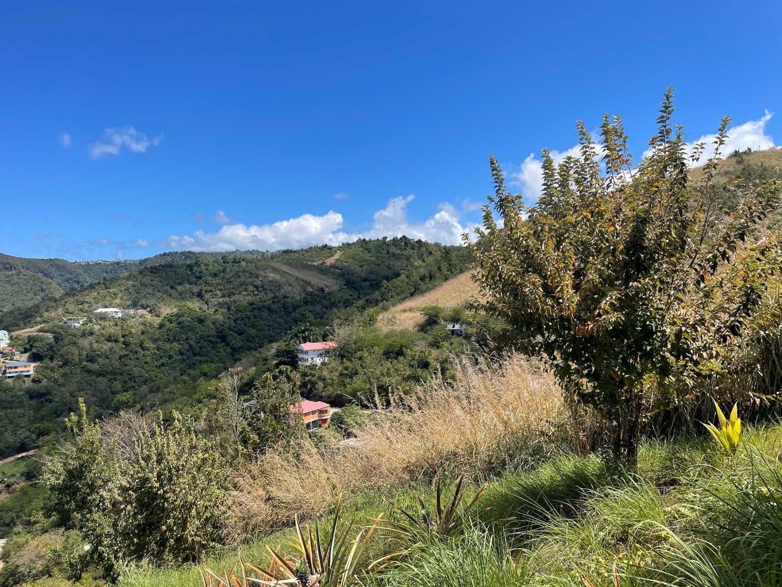 Hillside landscape in Mahaut, Dominica, with scattered houses, dry grass, and trees under a blue sky.