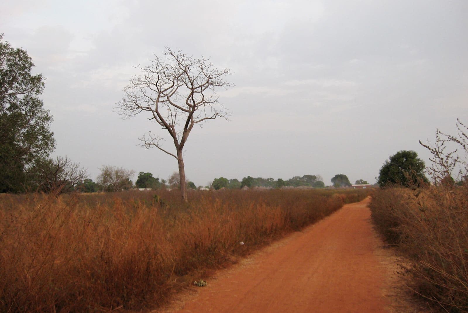 A dirt road winds through dry savannah grassland with scattered trees under an overcast sky.