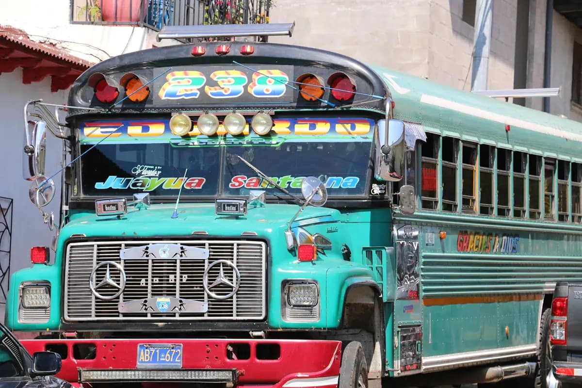A decorated turquoise public bus with route number 238 and destination signs is parked on a street.