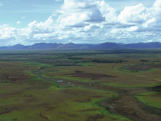 Aerial view of expansive wetland plains with winding water channels near Skeldon Guyana