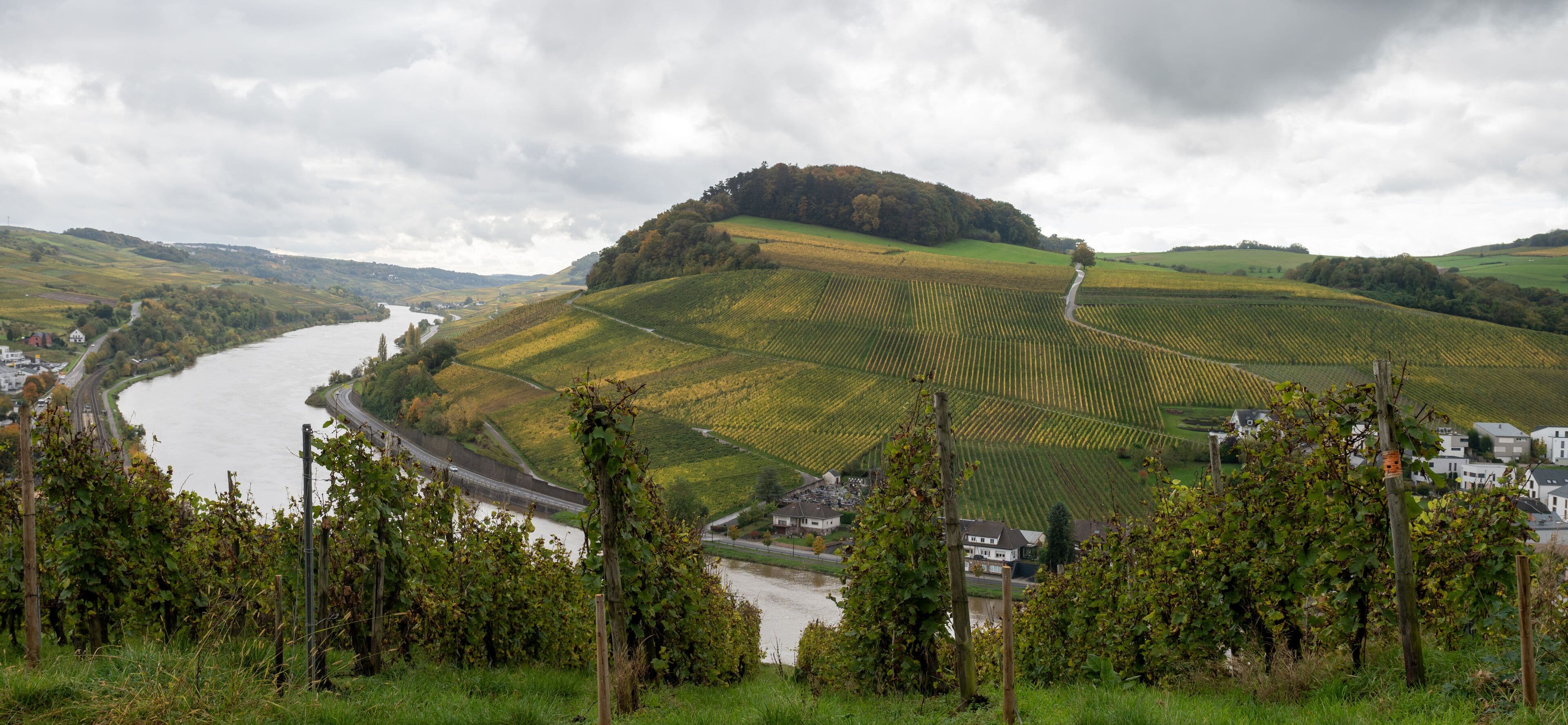 Panoramic view of the Moselle valley featuring terraced vineyards, a winding river, and rolling hills under a cloudy sky.