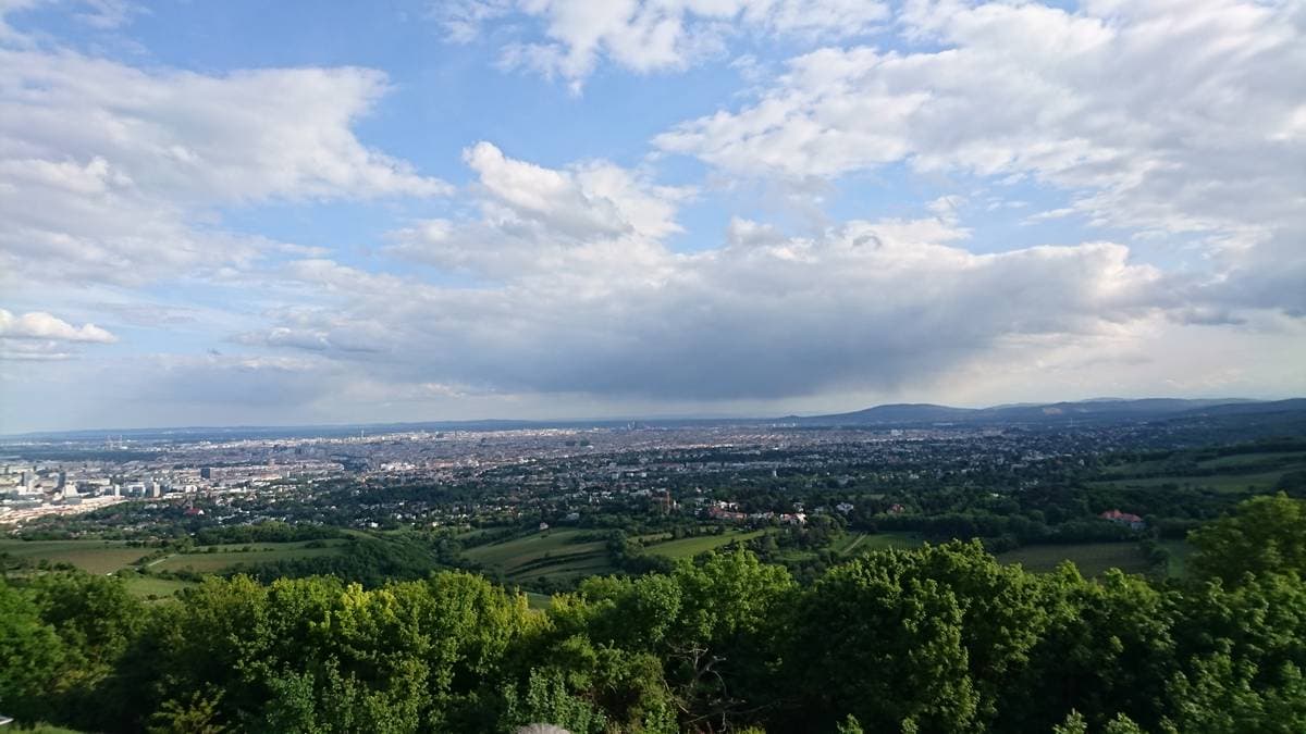 Budget Airlines in Leitzersdorf, Austria: How to Fly Cheap