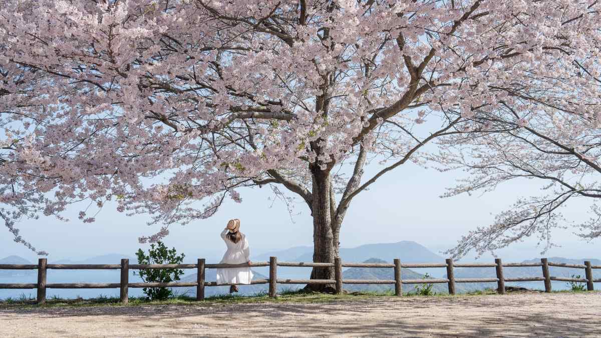 Your Springtime Escape: 5 Blooming Destinations for 2026