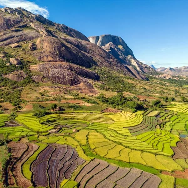 Elevated landscape of the Bassar region showing terraced rice paddies in green and brown hues with large rocky hills and boulders under a clear blue sky