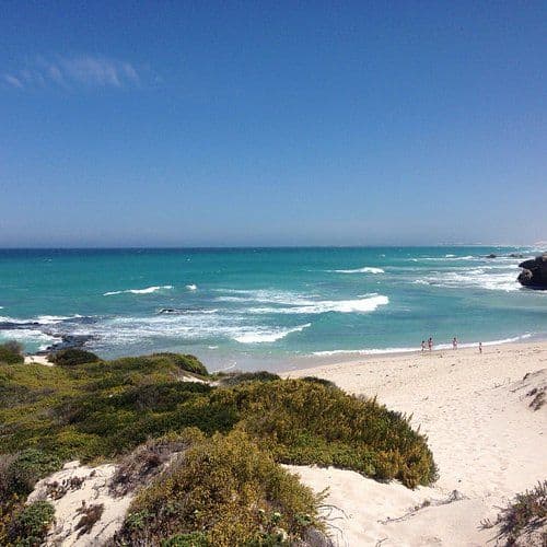 Coastal shoreline with turquoise ocean, breaking waves, sandy beach, and low coastal vegetation under a clear blue sky.