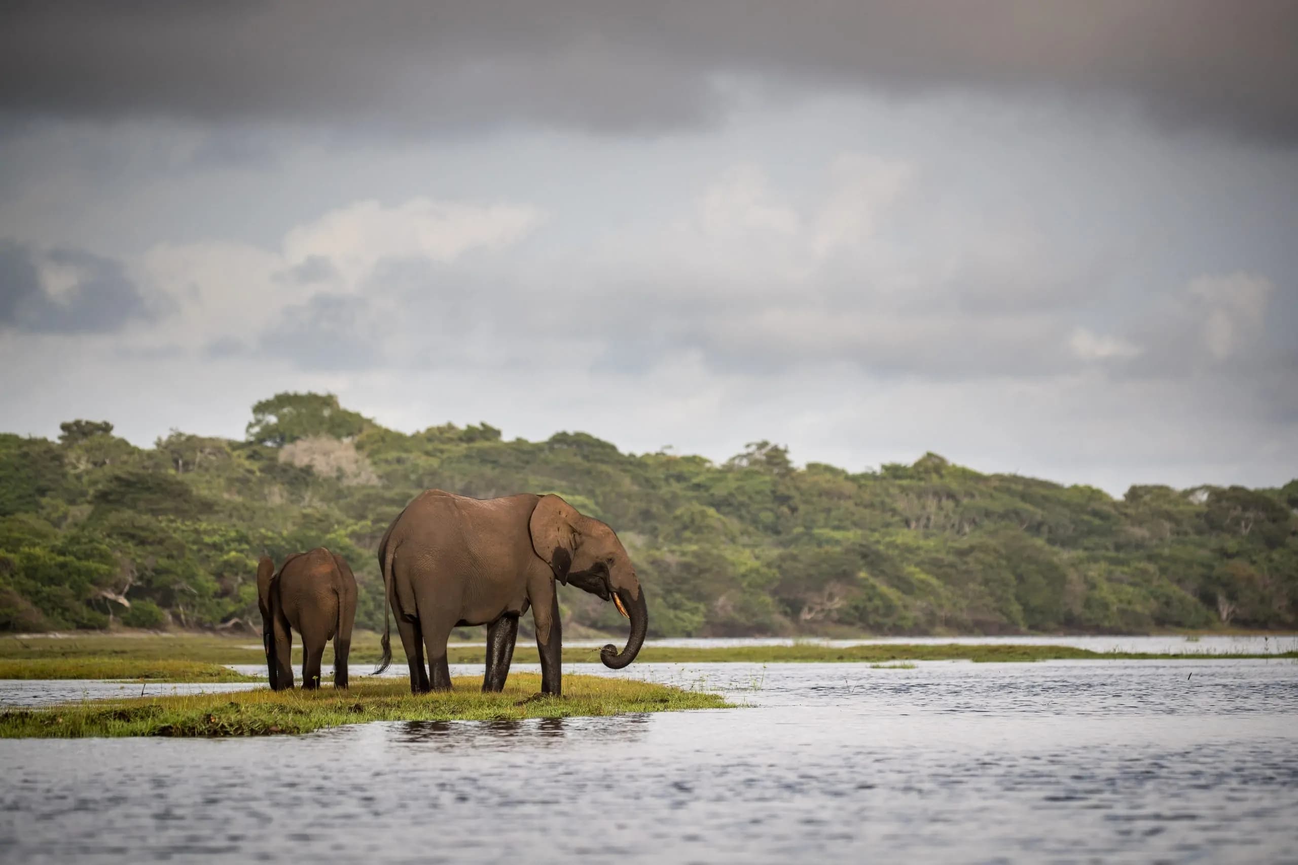 Wide landscape of Loango National Park beach and ocean in Gabon