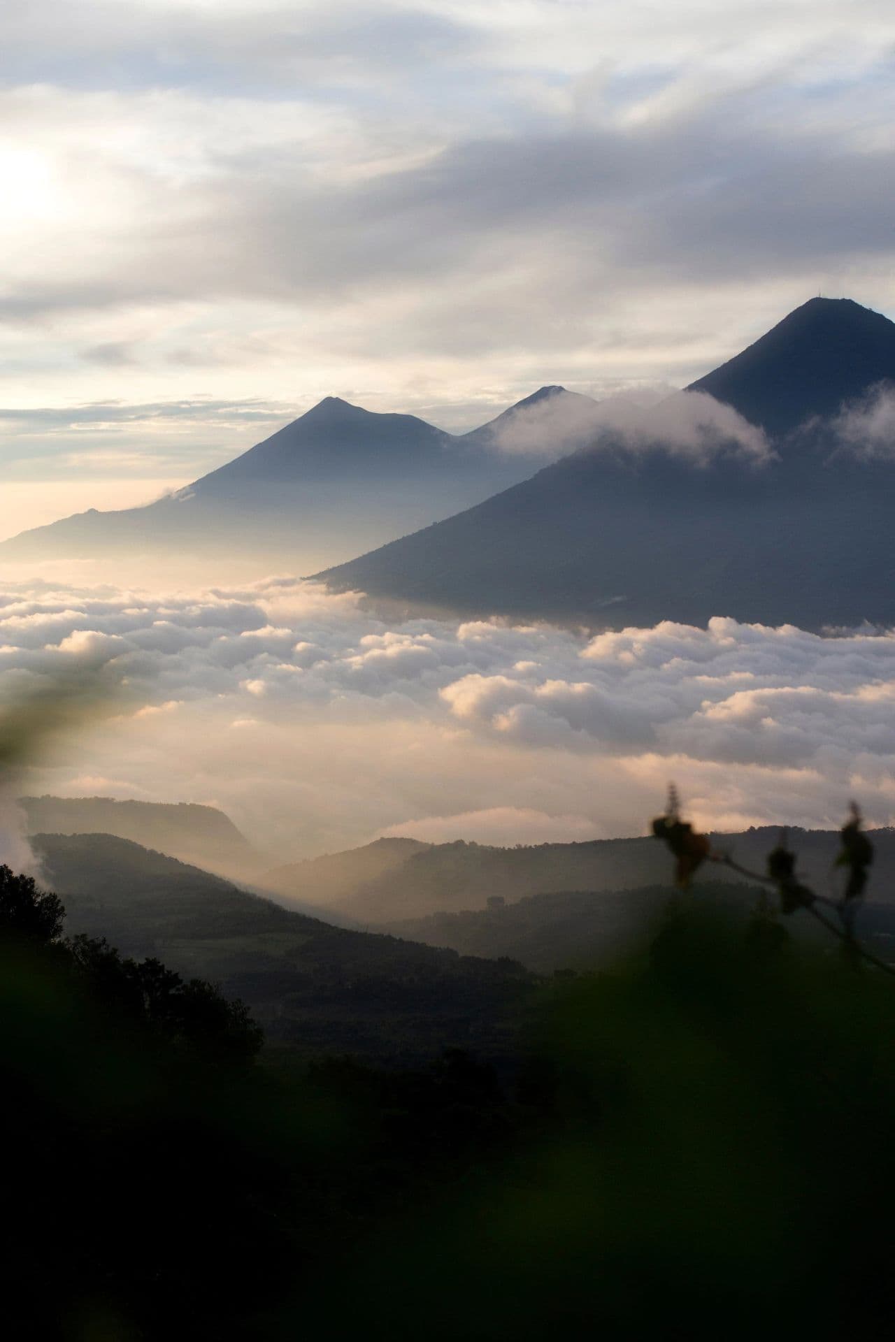 Misty mountain peaks rise above a sea of clouds in the Suchitepequez region, Guatemala, with foreground foliage framing the scenic landscape.
