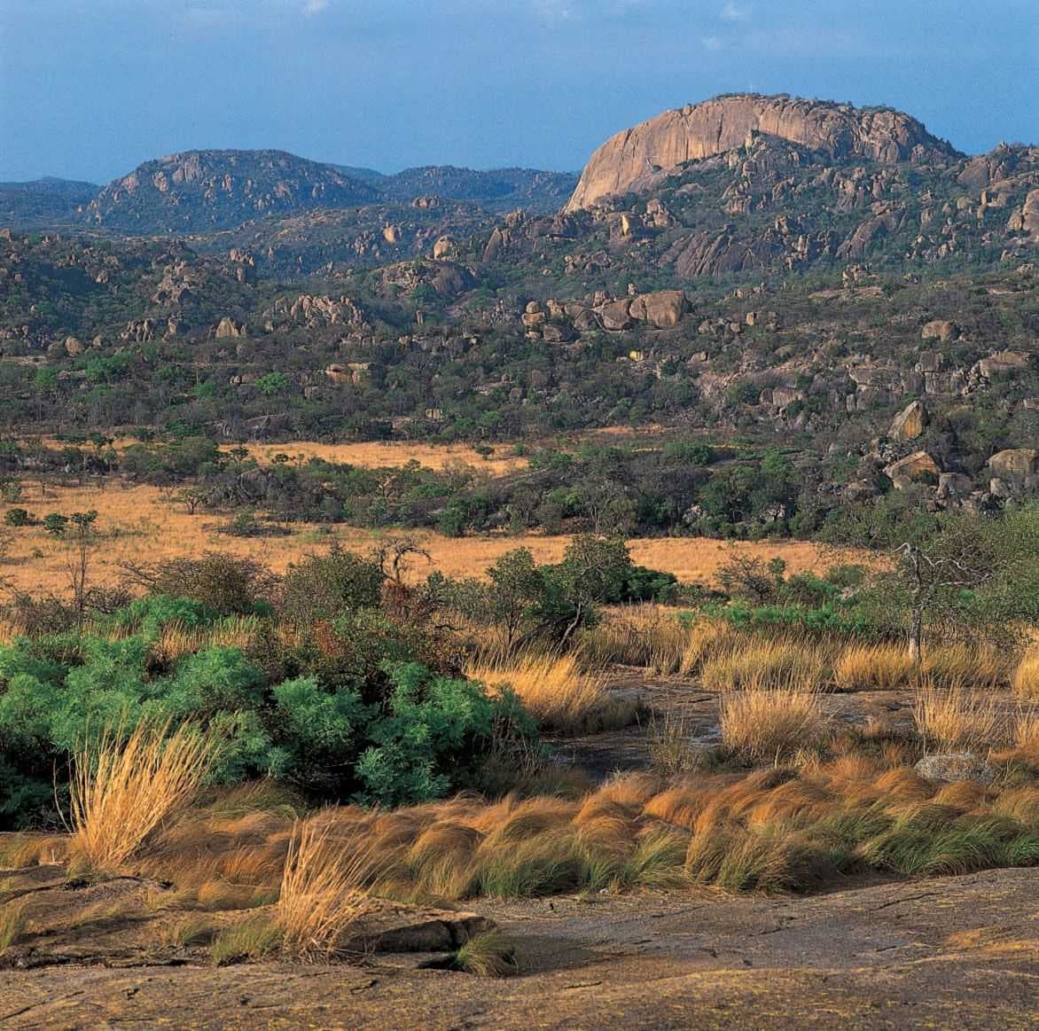 Wide landscape photograph of rolling rocky hills, dry grass, and scattered shrubs under a clear blue sky in the Marondera District, Zimbabwe region