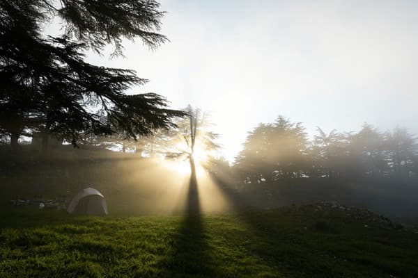 Cedar forest in Bsharri, Lebanon with mountainous terrain during spring season