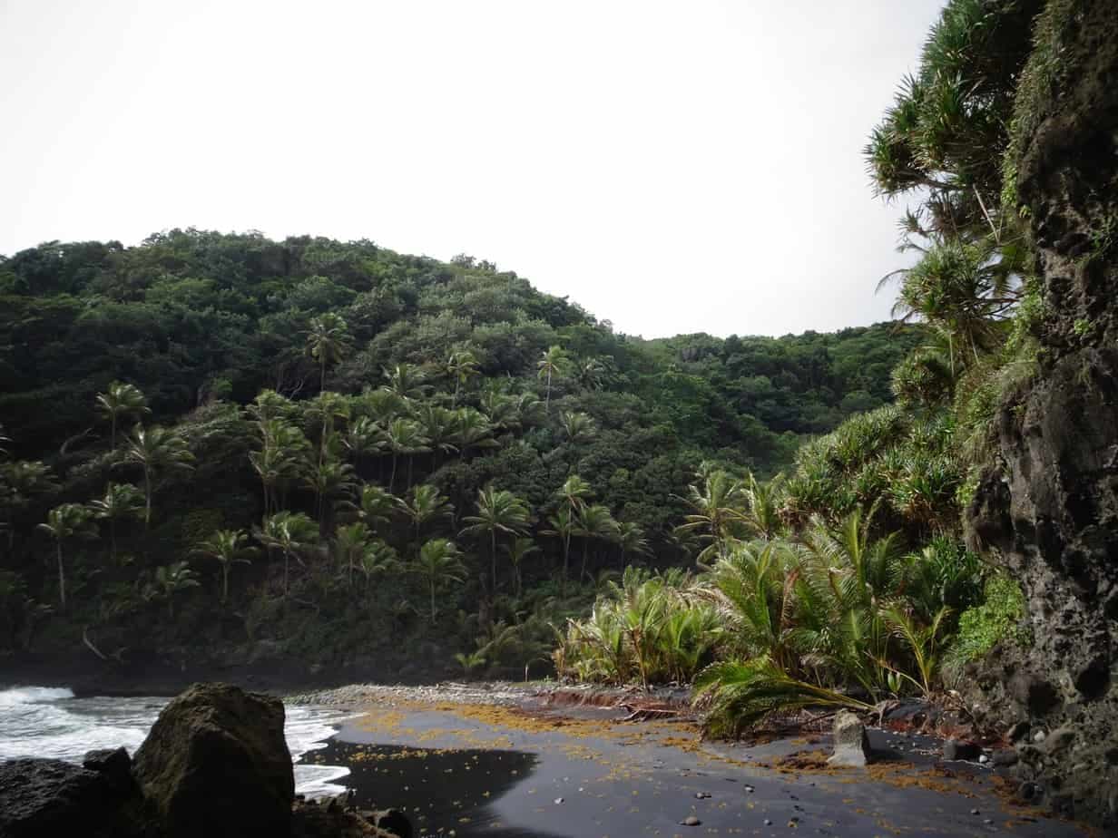 Lush green hiking path winding through the tropical rainforest in Rosalie, Dominica