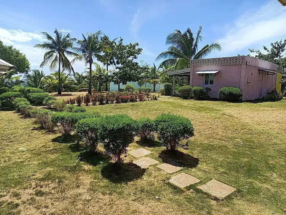 Riverbank camping site in Sison, Philippines with open sky and surrounding trees for outdoor relaxation.