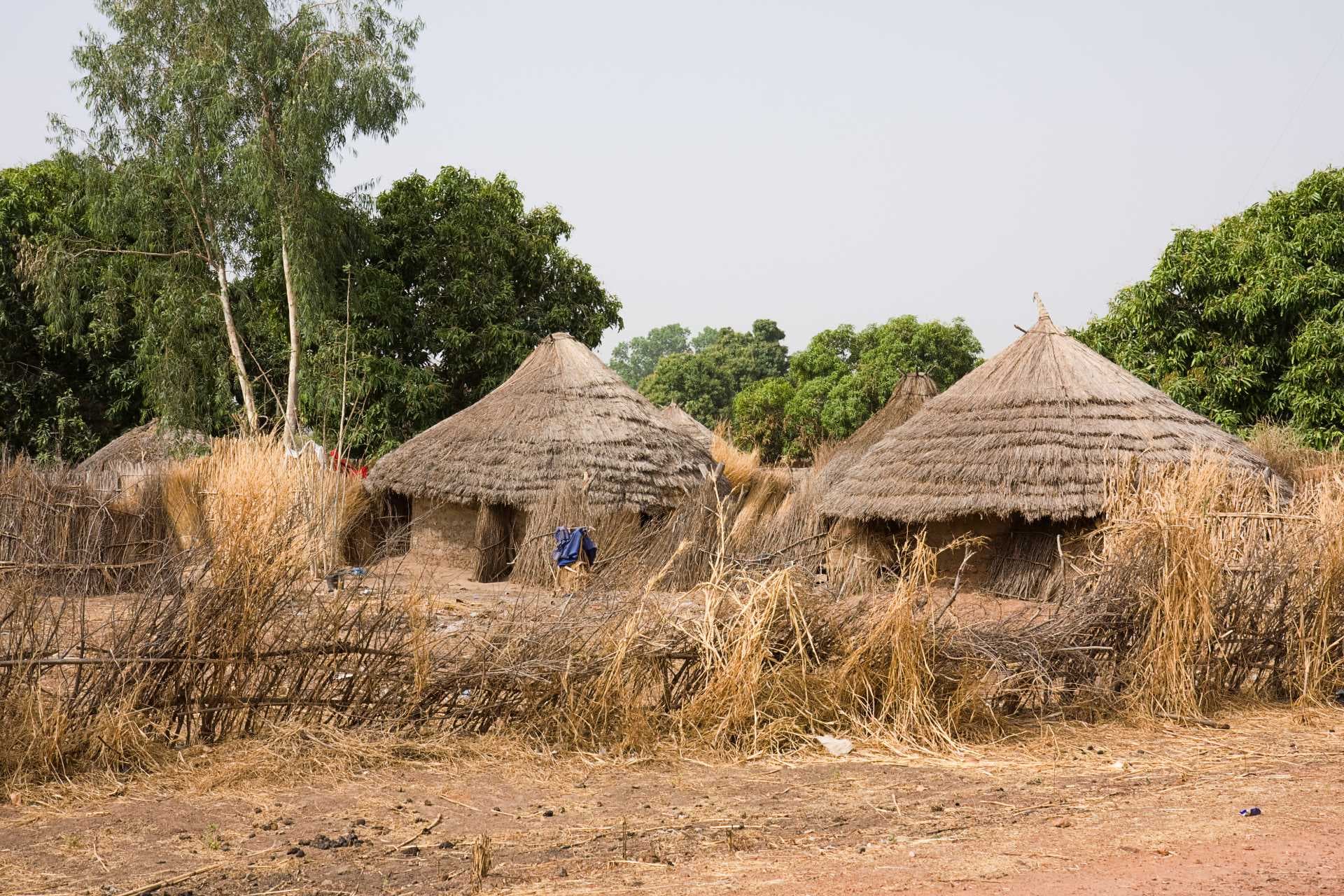 Thatched-roof huts and dry brush in a rural village setting, with trees and overcast sky.