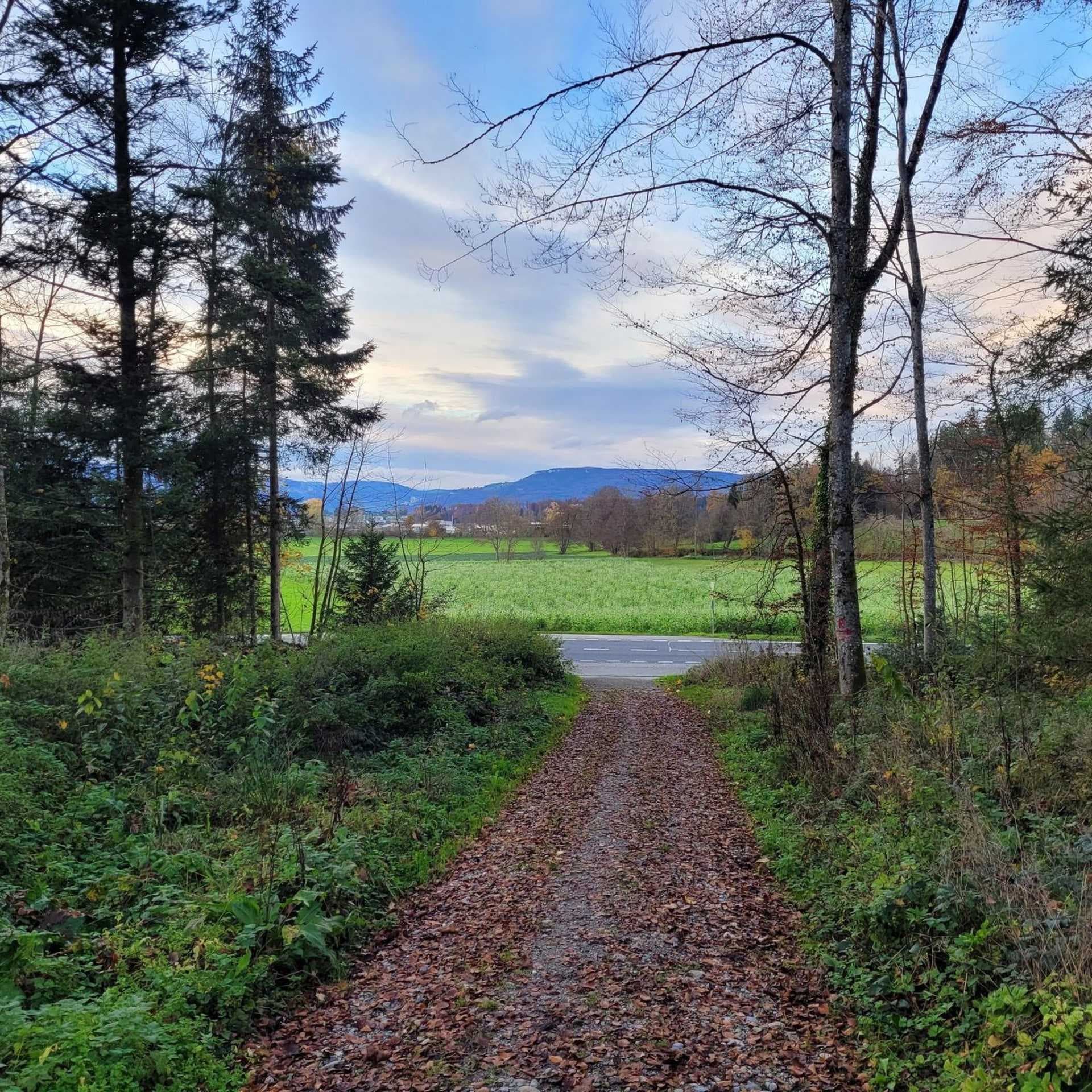 Gravel walking path through leafy forest opening to green fields, distant hills, and a paved road under a cloudy sky.