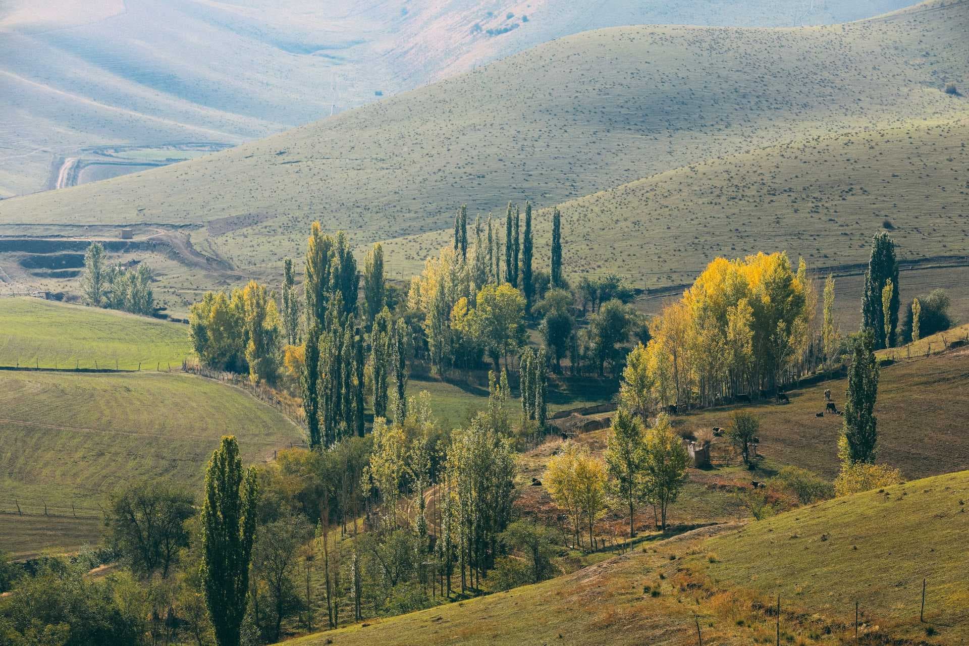 Mountain valley with rolling hills, autumn trees, and long shadows under warm light.