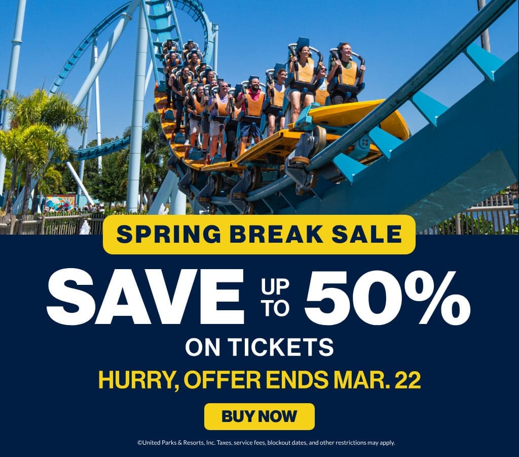 Your Springtime Adventure: The Ultimate Theme Park Travel