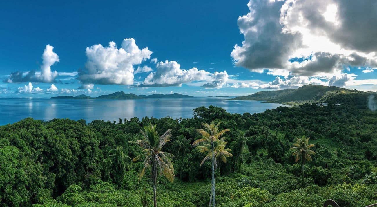 Aerial view of lush green tropical forest and palm trees overlooking a calm blue bay with distant islands under a partly cloudy sky.